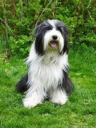 Man muss ihn einfach gerne haben