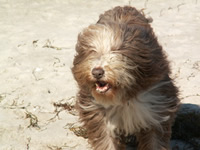 Wind um die Nase