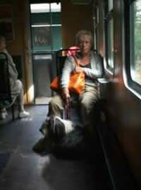 Im Rasenden Roland