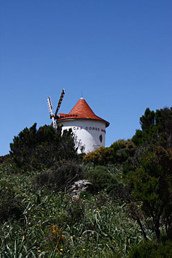 Cap Corse